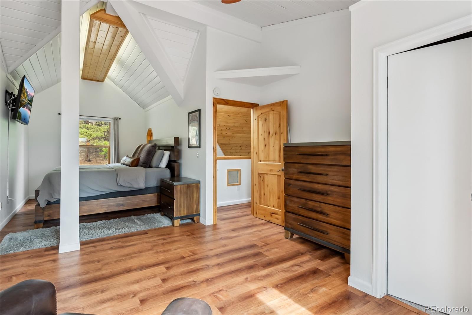 MLS Image #19 for 2028  redhill road,fairplay, Colorado