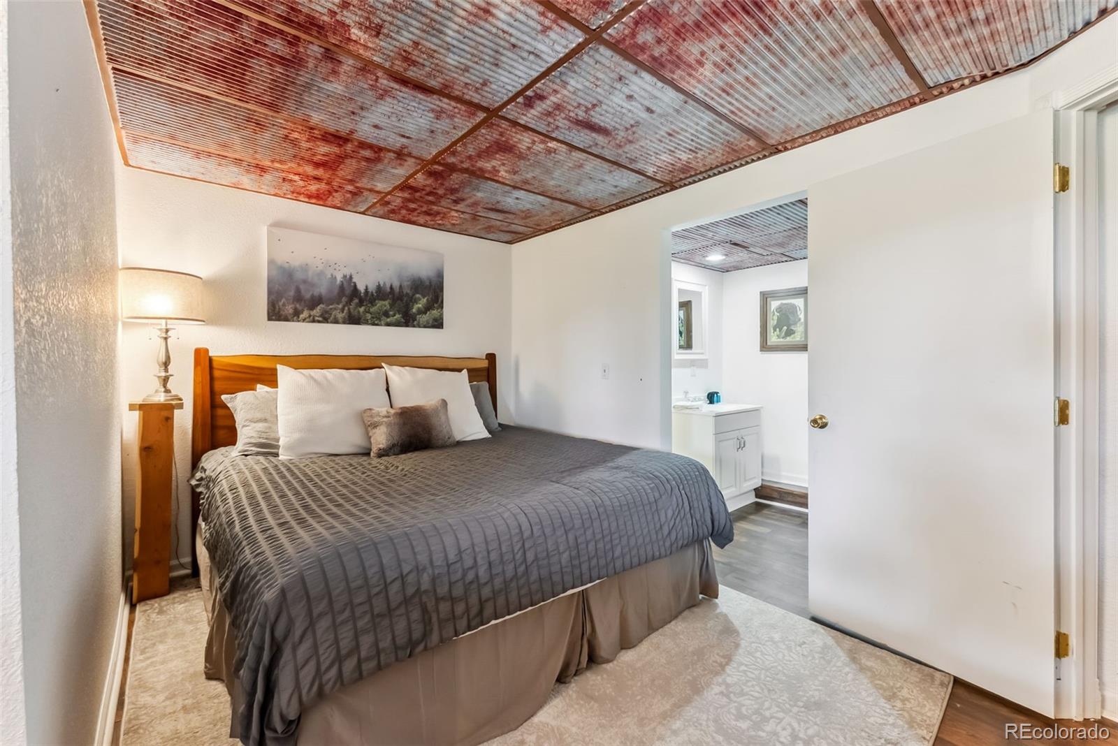 MLS Image #36 for 2028  redhill road,fairplay, Colorado