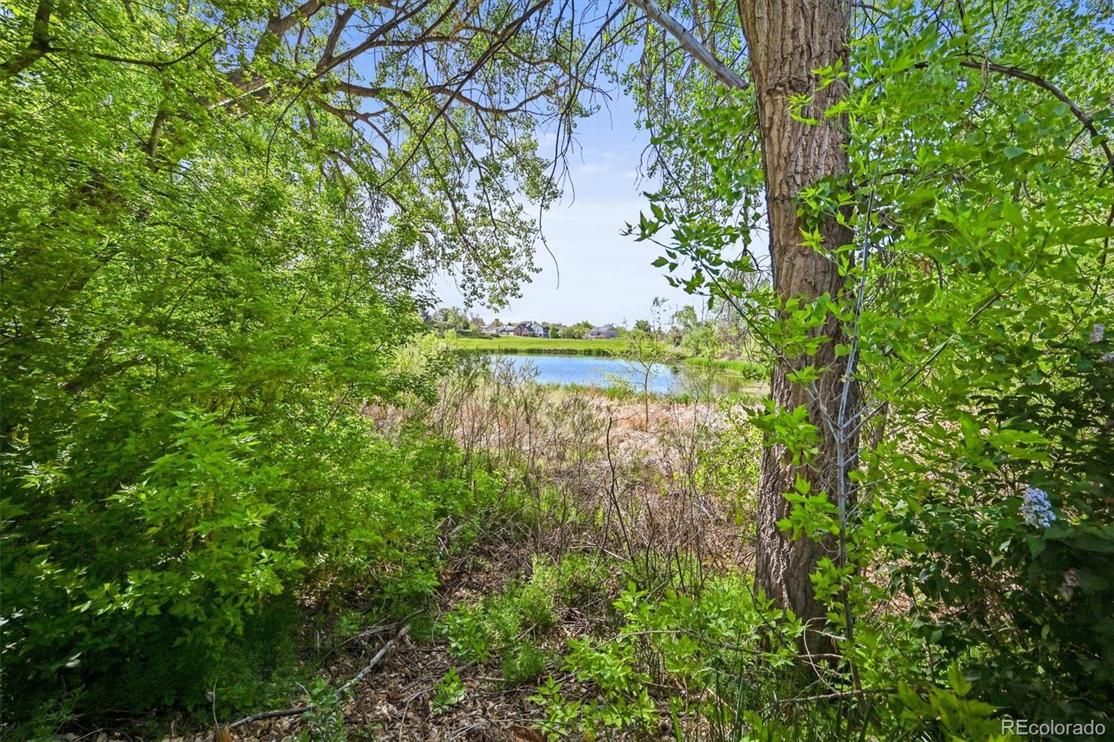 MLS Image #3 for 6862  independence court,arvada, Colorado