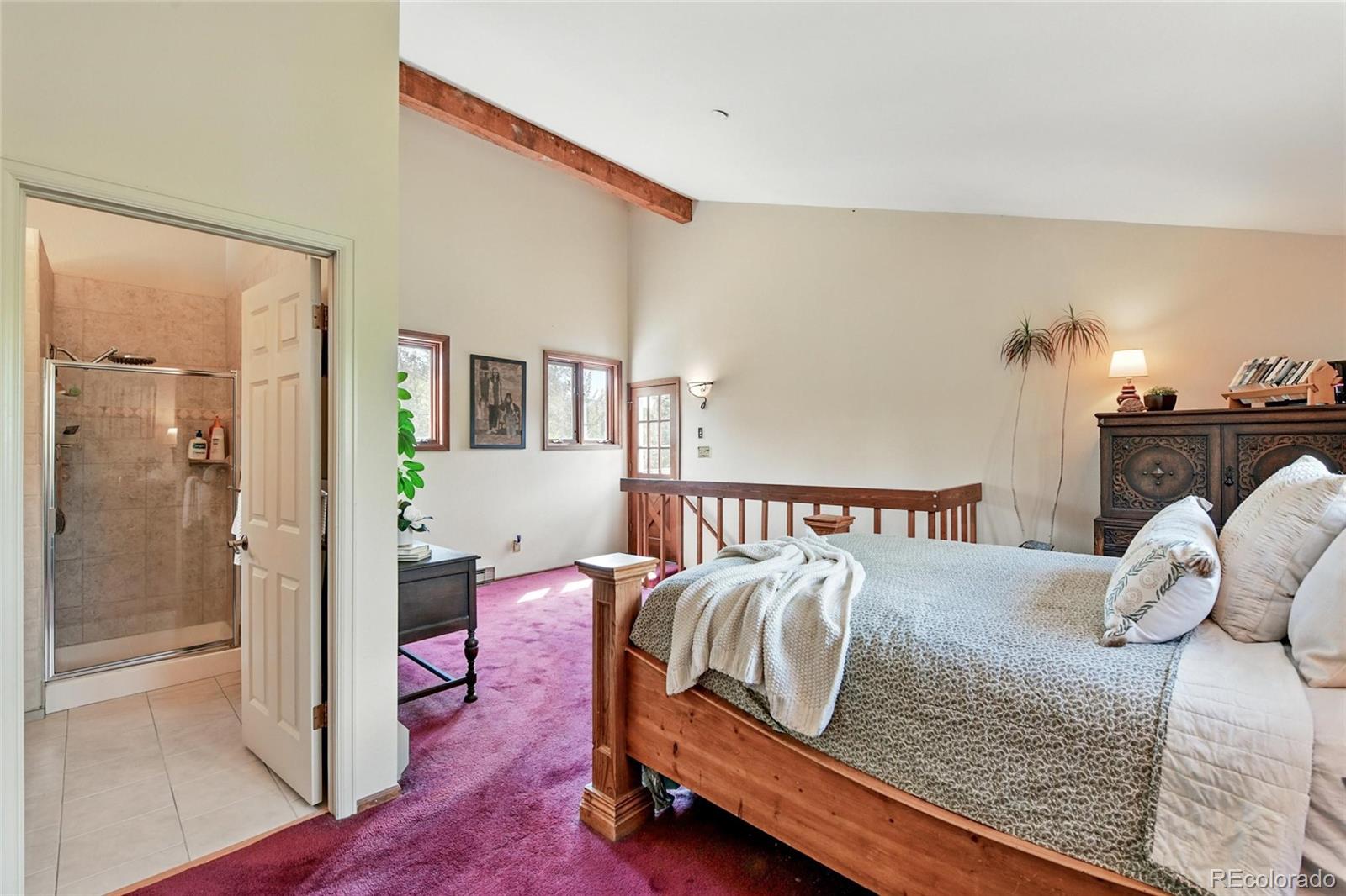 MLS Image #23 for 33  nova circle,pine, Colorado