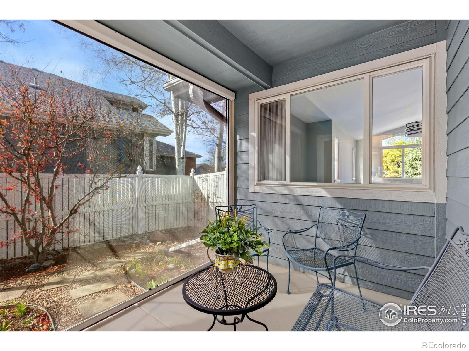 MLS Image #13 for 742  megan court,longmont, Colorado