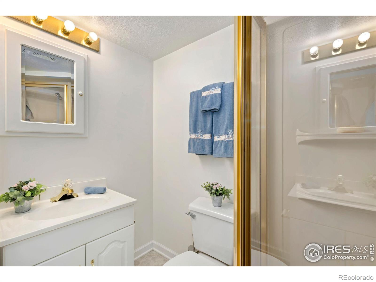 MLS Image #32 for 742  megan court,longmont, Colorado