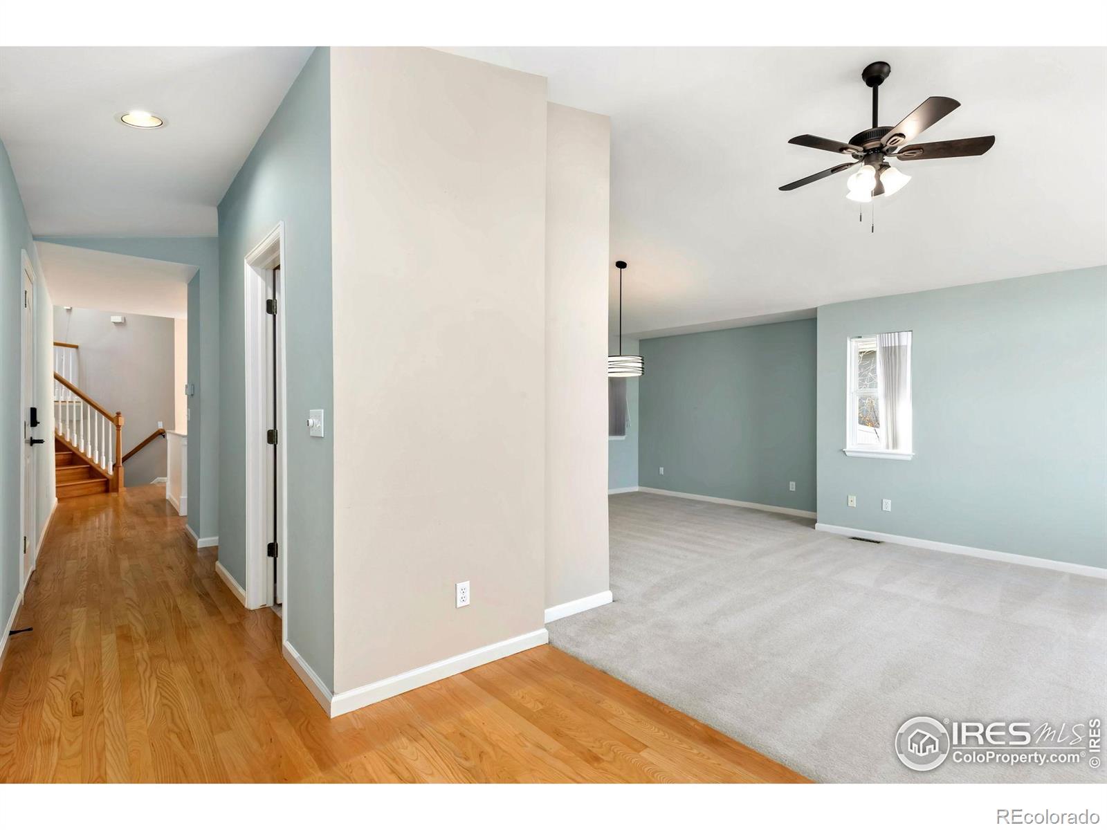 MLS Image #4 for 742  megan court,longmont, Colorado
