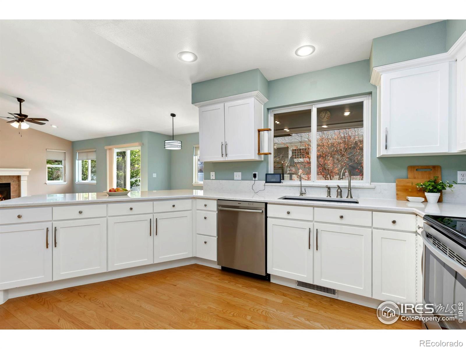 MLS Image #7 for 742  megan court,longmont, Colorado