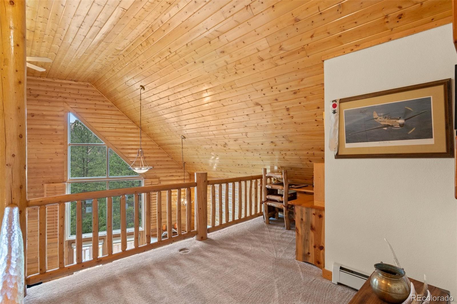 MLS Image #12 for 27264  schuyler gulch road,pine, Colorado