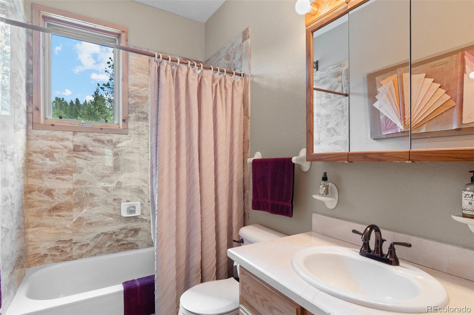MLS Image #21 for 27264  schuyler gulch road,pine, Colorado