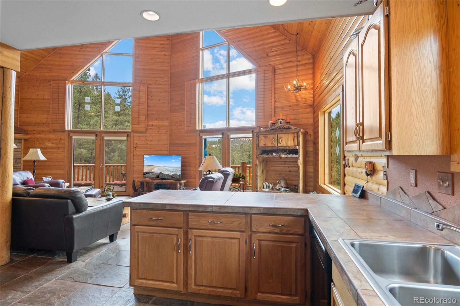 MLS Image #7 for 27264  schuyler gulch road,pine, Colorado