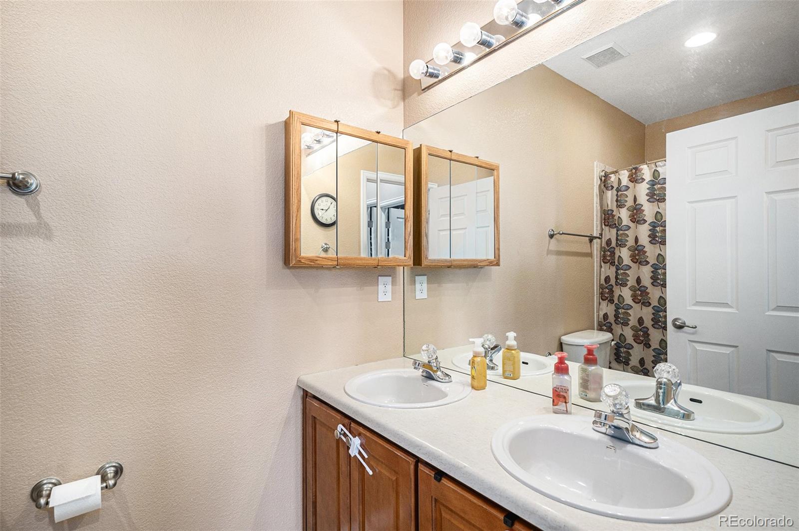 MLS Image #12 for 23235  york avenue ,parker, Colorado