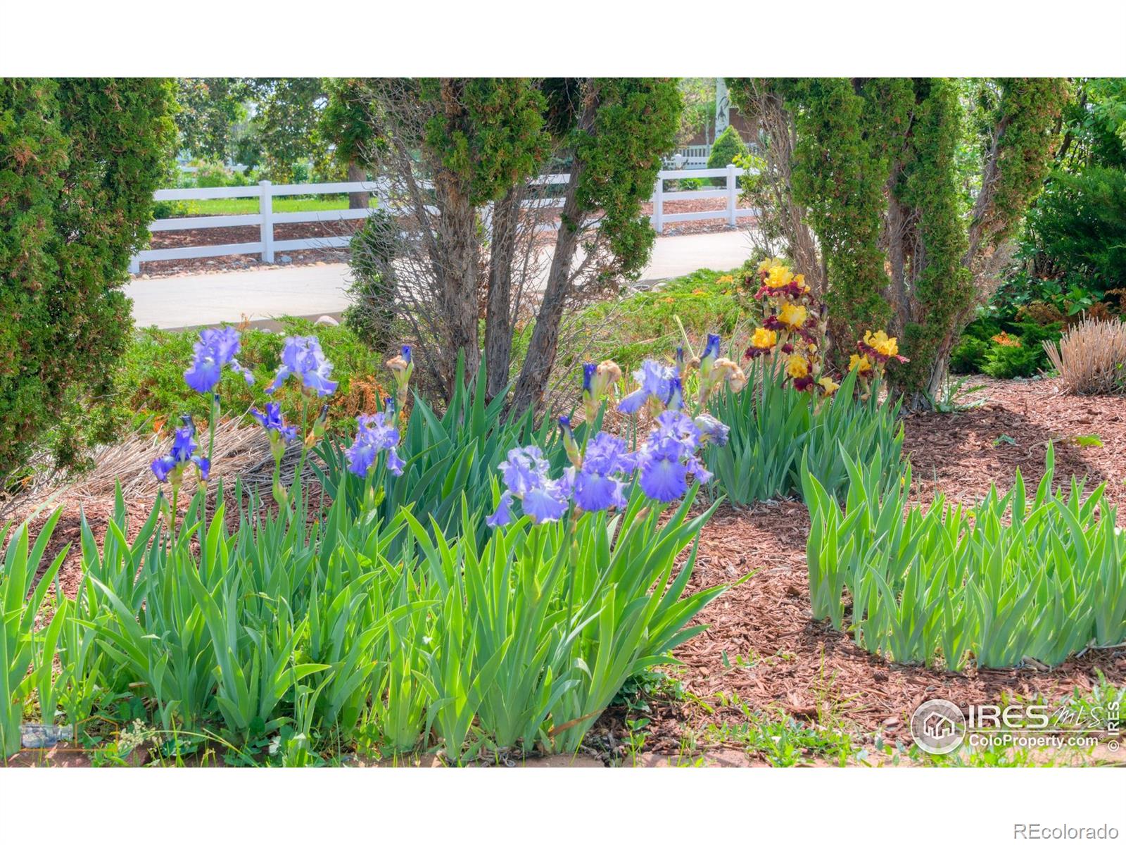 MLS Image #36 for 7785  darvey lane,longmont, Colorado