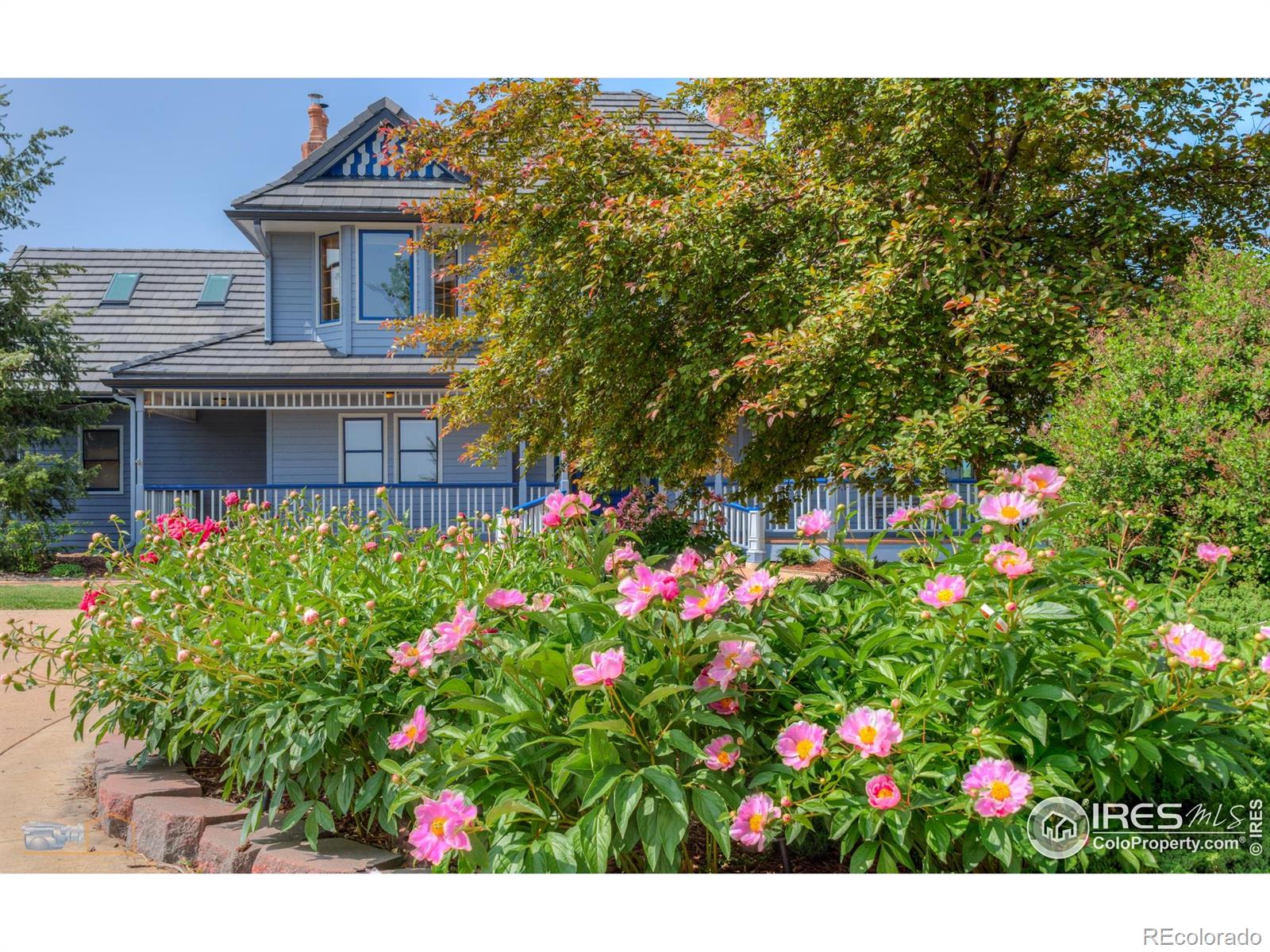 MLS Image #5 for 7785  darvey lane,longmont, Colorado