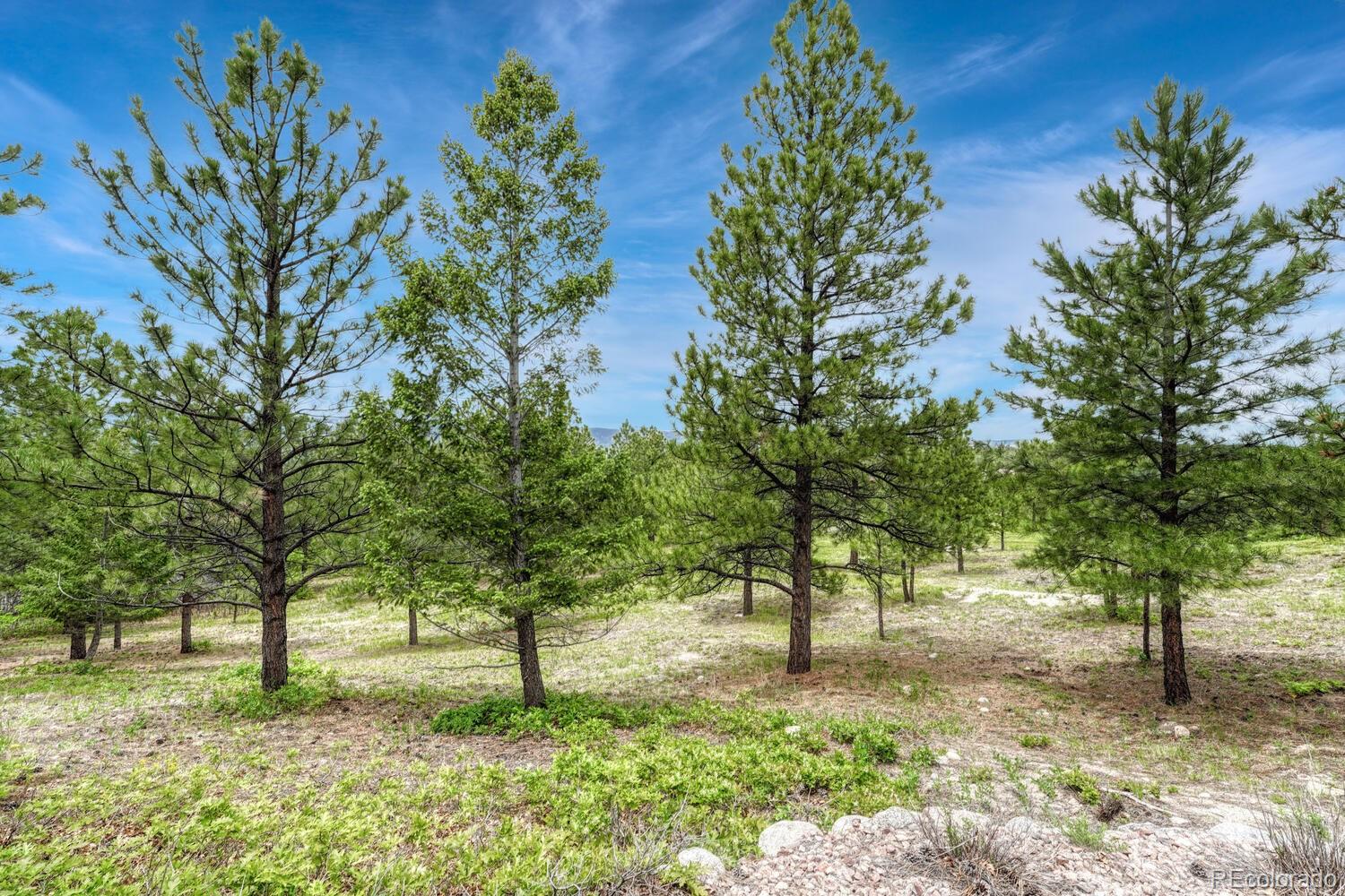 MLS Image #42 for 1127  buttermilk road,larkspur, Colorado