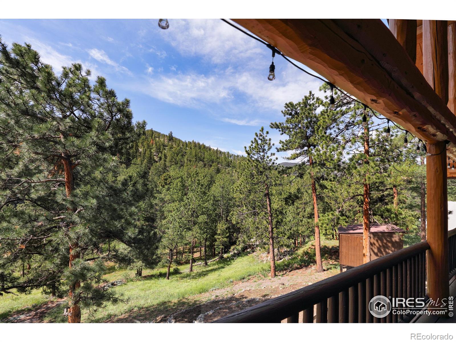 MLS Image #12 for 28  ute crossing court,lyons, Colorado