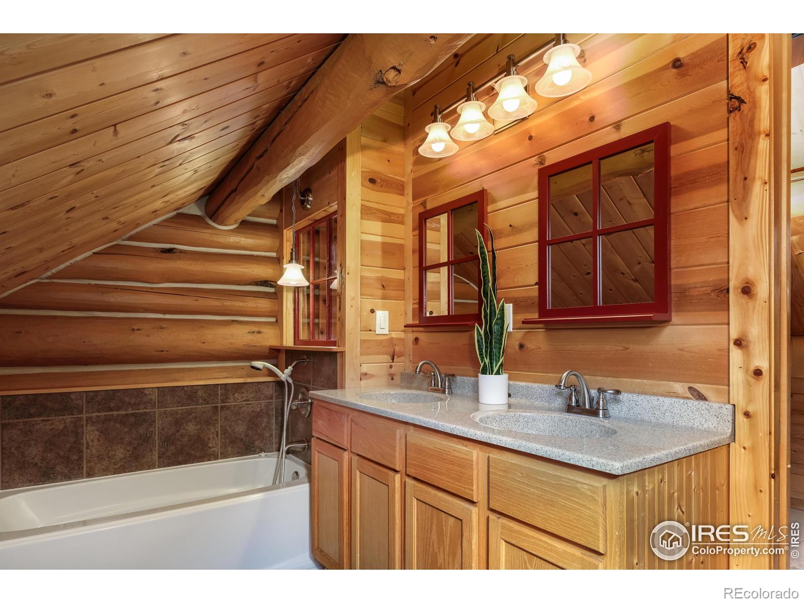 MLS Image #21 for 28  ute crossing court,lyons, Colorado