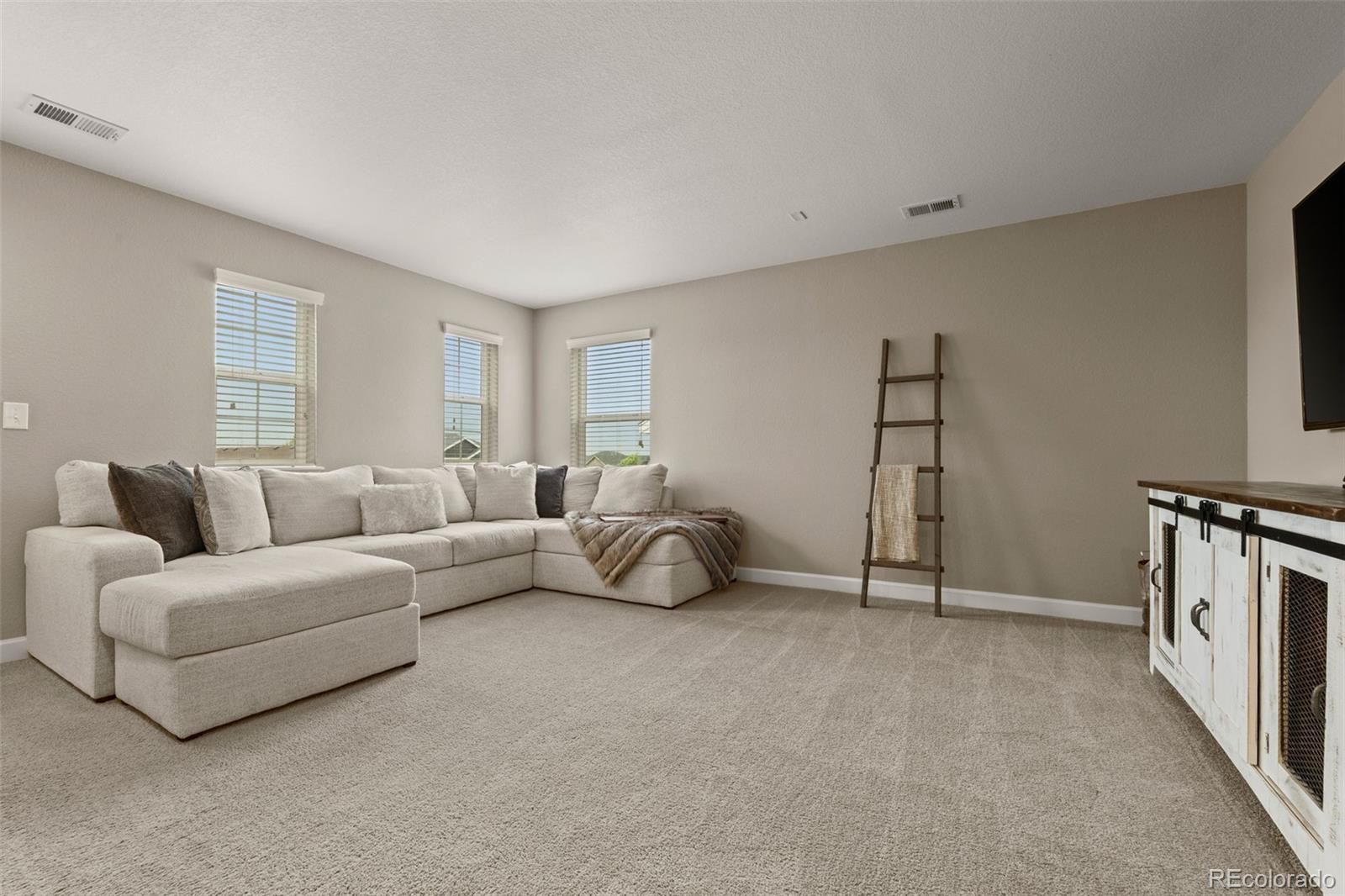 MLS Image #23 for 7734  blue water drive,castle rock, Colorado