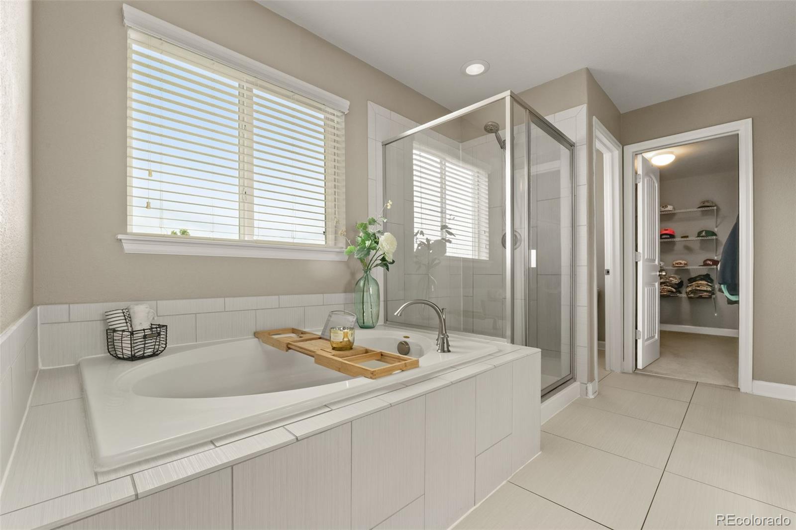 MLS Image #27 for 7734  blue water drive,castle rock, Colorado