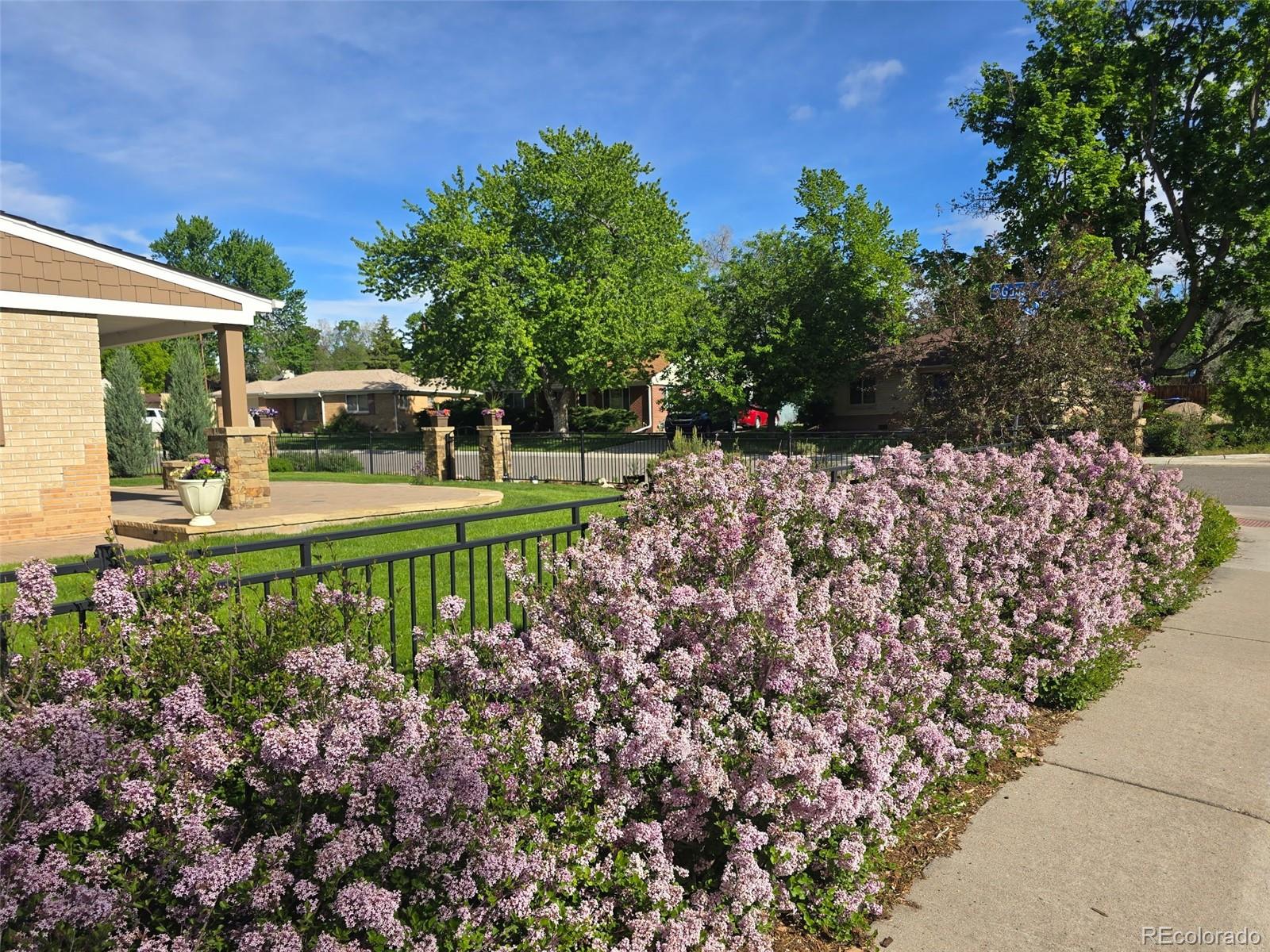 MLS Image #28 for 5490  garland street,arvada, Colorado