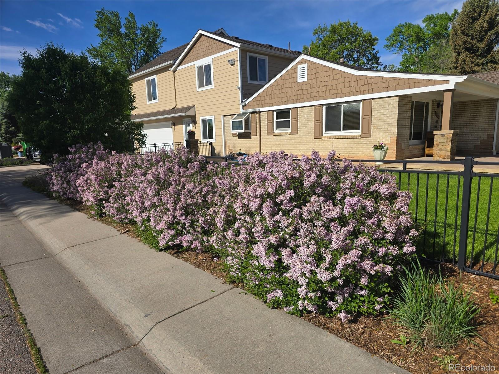 MLS Image #29 for 5490  garland street,arvada, Colorado