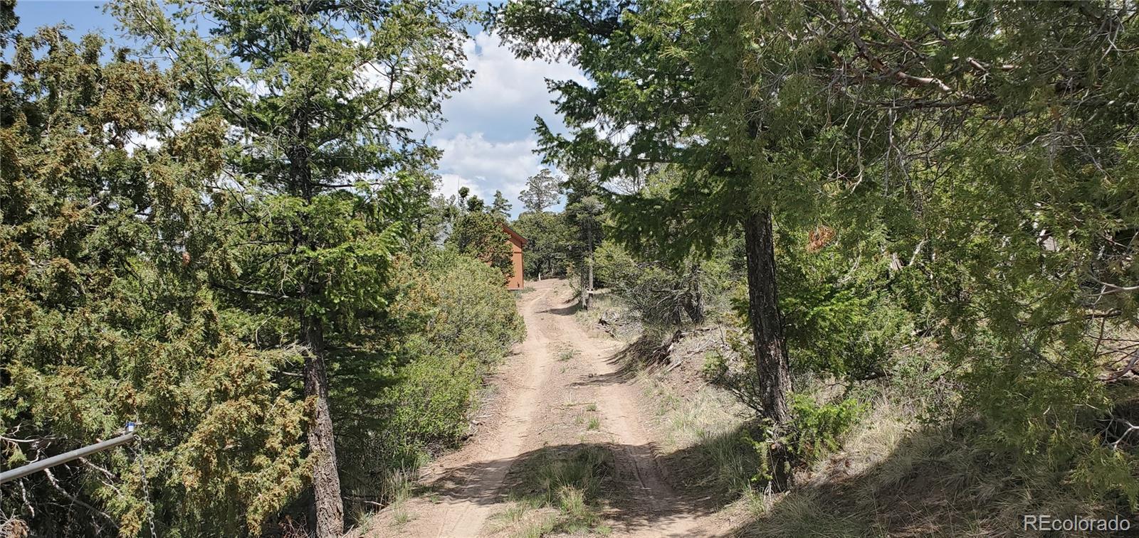 MLS Image #20 for 49547  cordova road,fort garland, Colorado