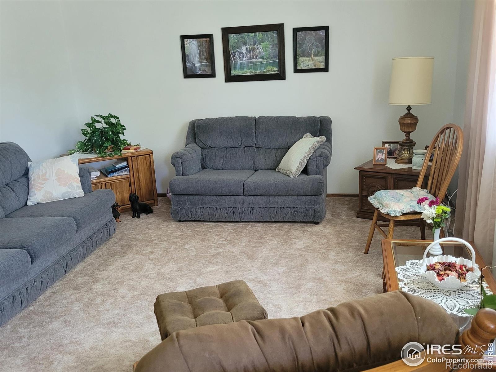 MLS Image #2 for 1918  sumac place,longmont, Colorado