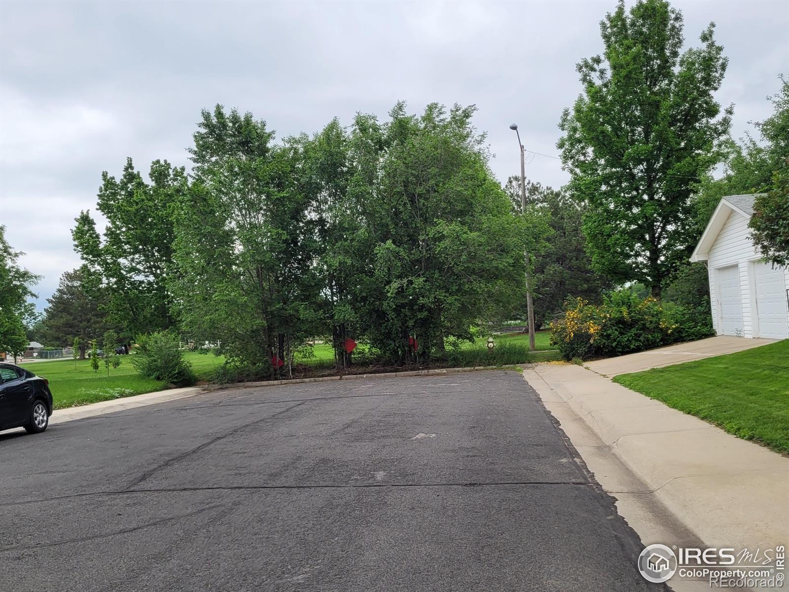 MLS Image #31 for 1918  sumac place,longmont, Colorado