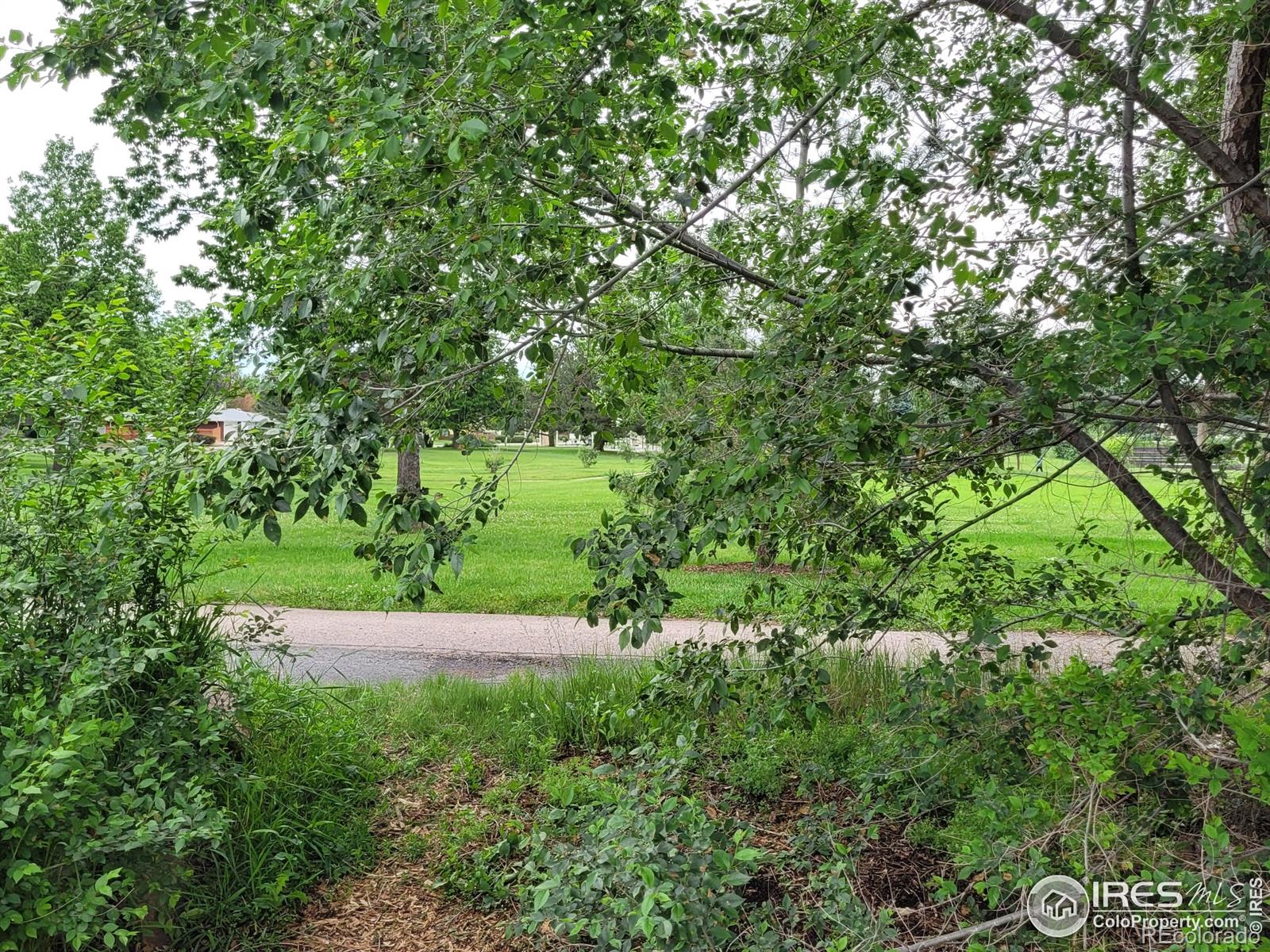 MLS Image #32 for 1918  sumac place,longmont, Colorado