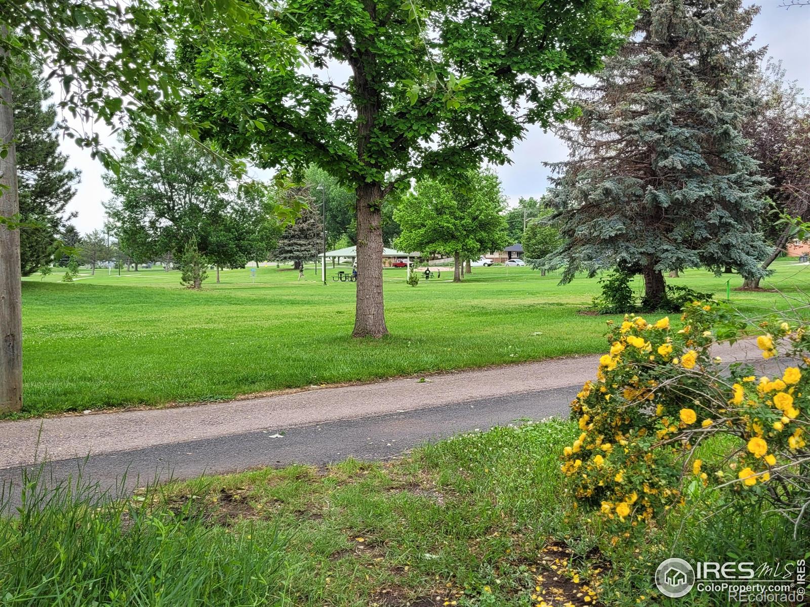 MLS Image #33 for 1918  sumac place,longmont, Colorado