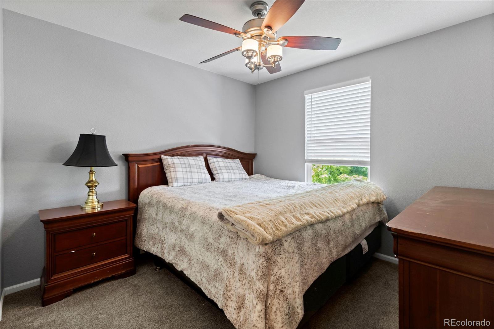 MLS Image #22 for 5301  clovervale circle,highlands ranch, Colorado