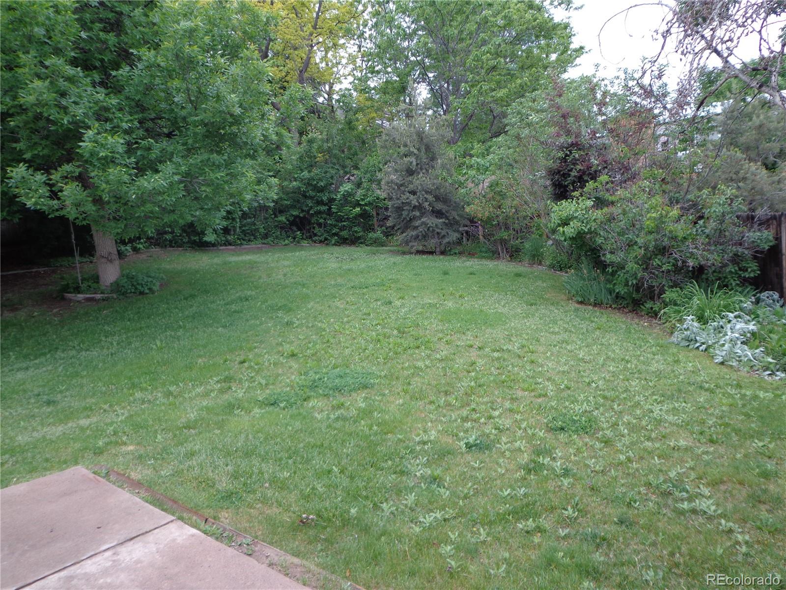 MLS Image #5 for 13651  silverton drive,broomfield, Colorado