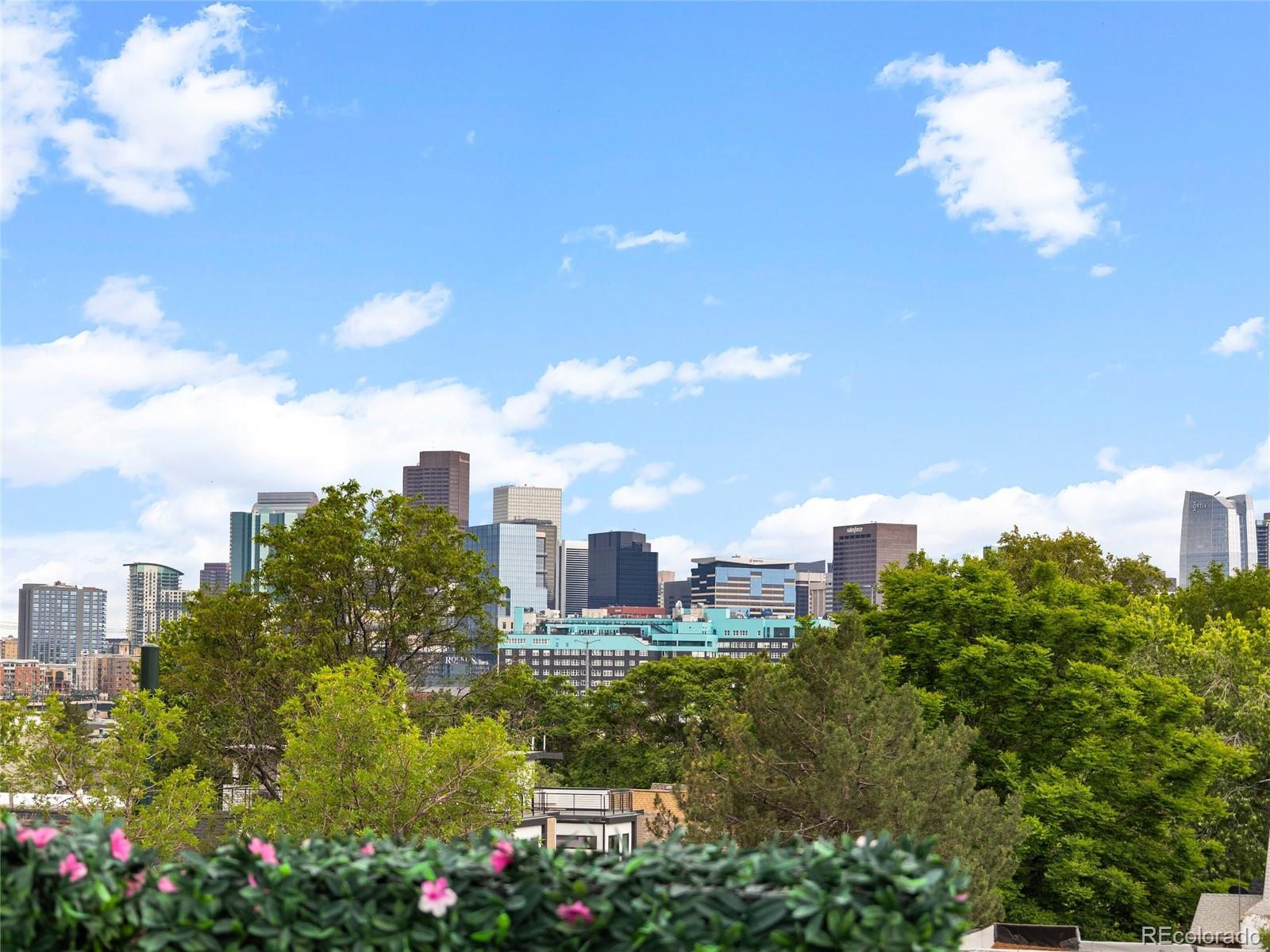 MLS Image #29 for 3715  kalamath street,denver, Colorado