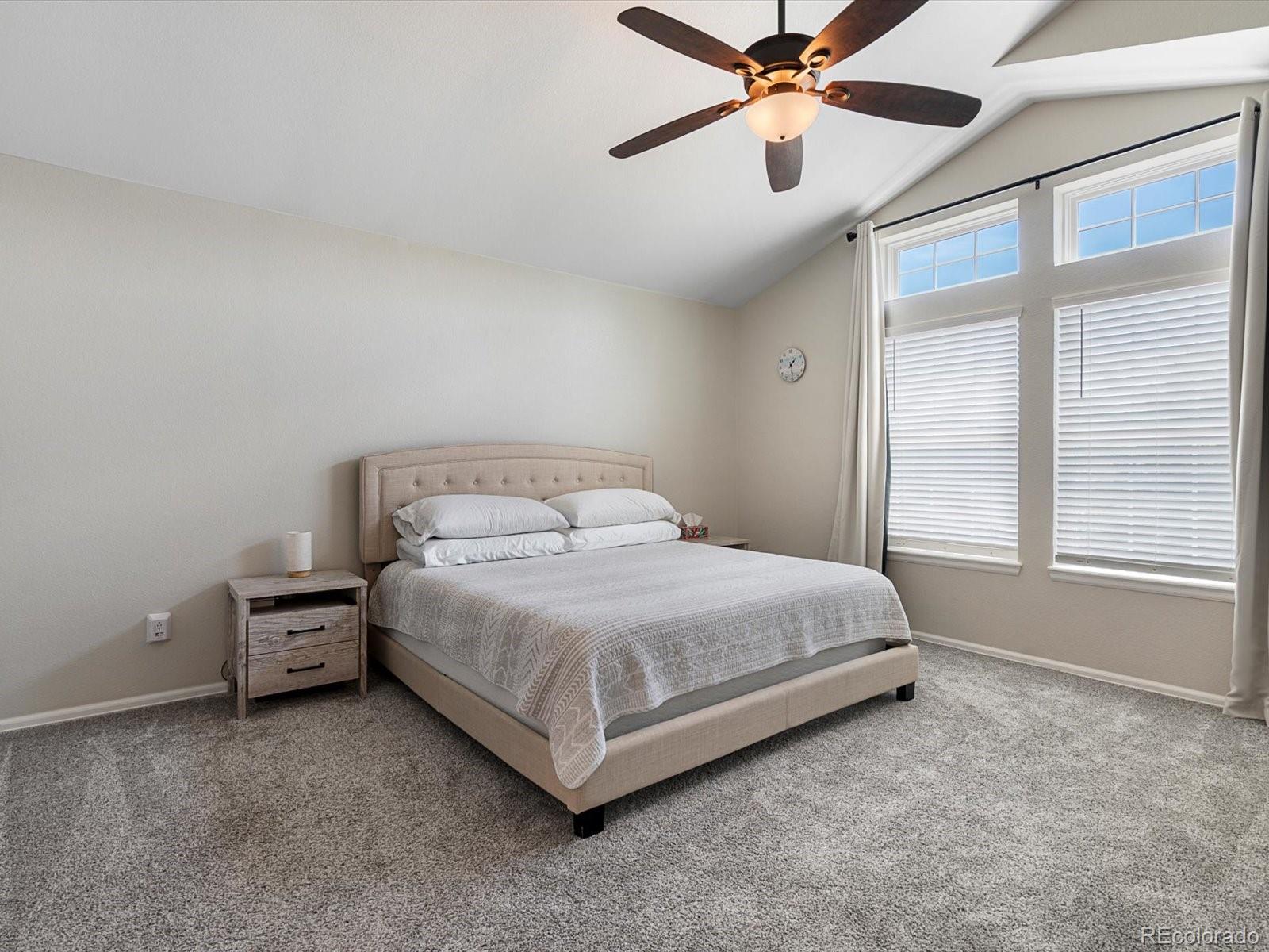 MLS Image #19 for 8473  blackgum street,parker, Colorado