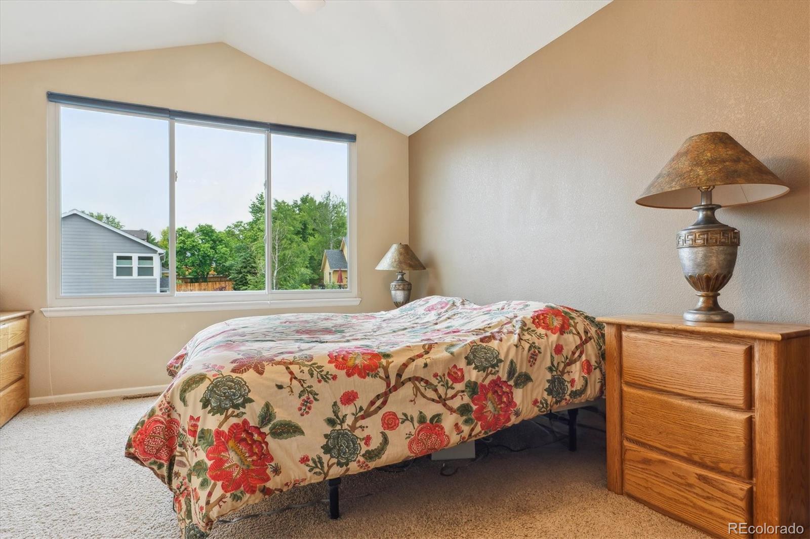 MLS Image #17 for 6534 s union way,littleton, Colorado