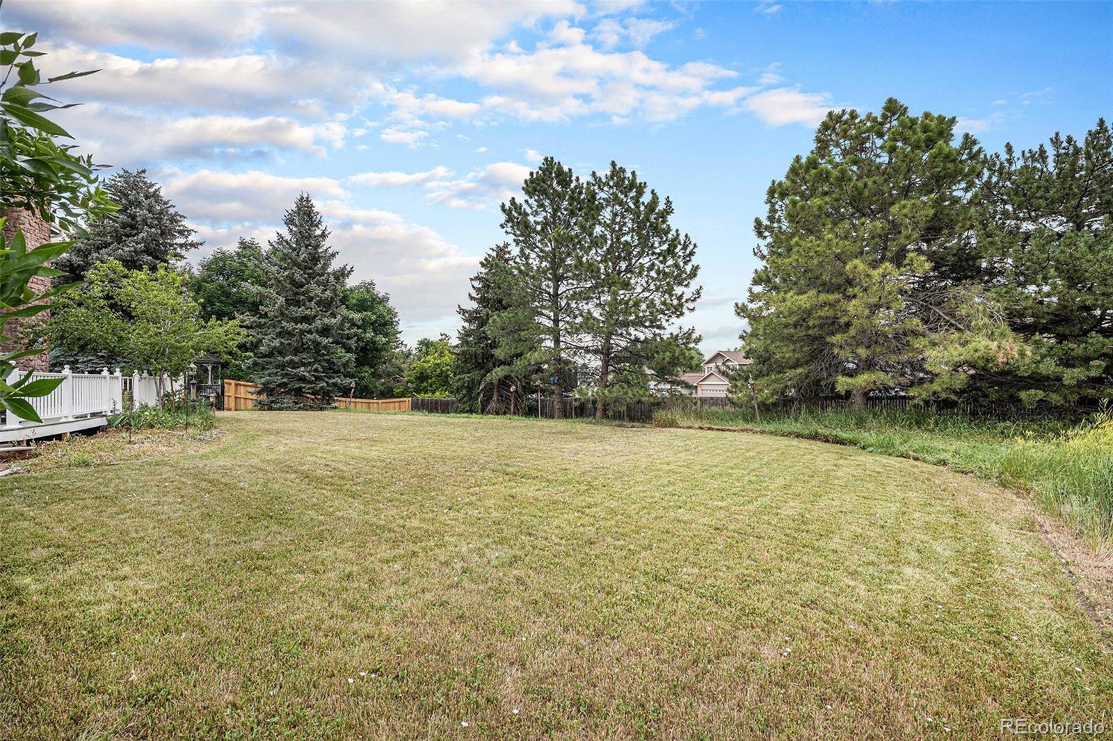 MLS Image #31 for 5491 s youngfield court,littleton, Colorado