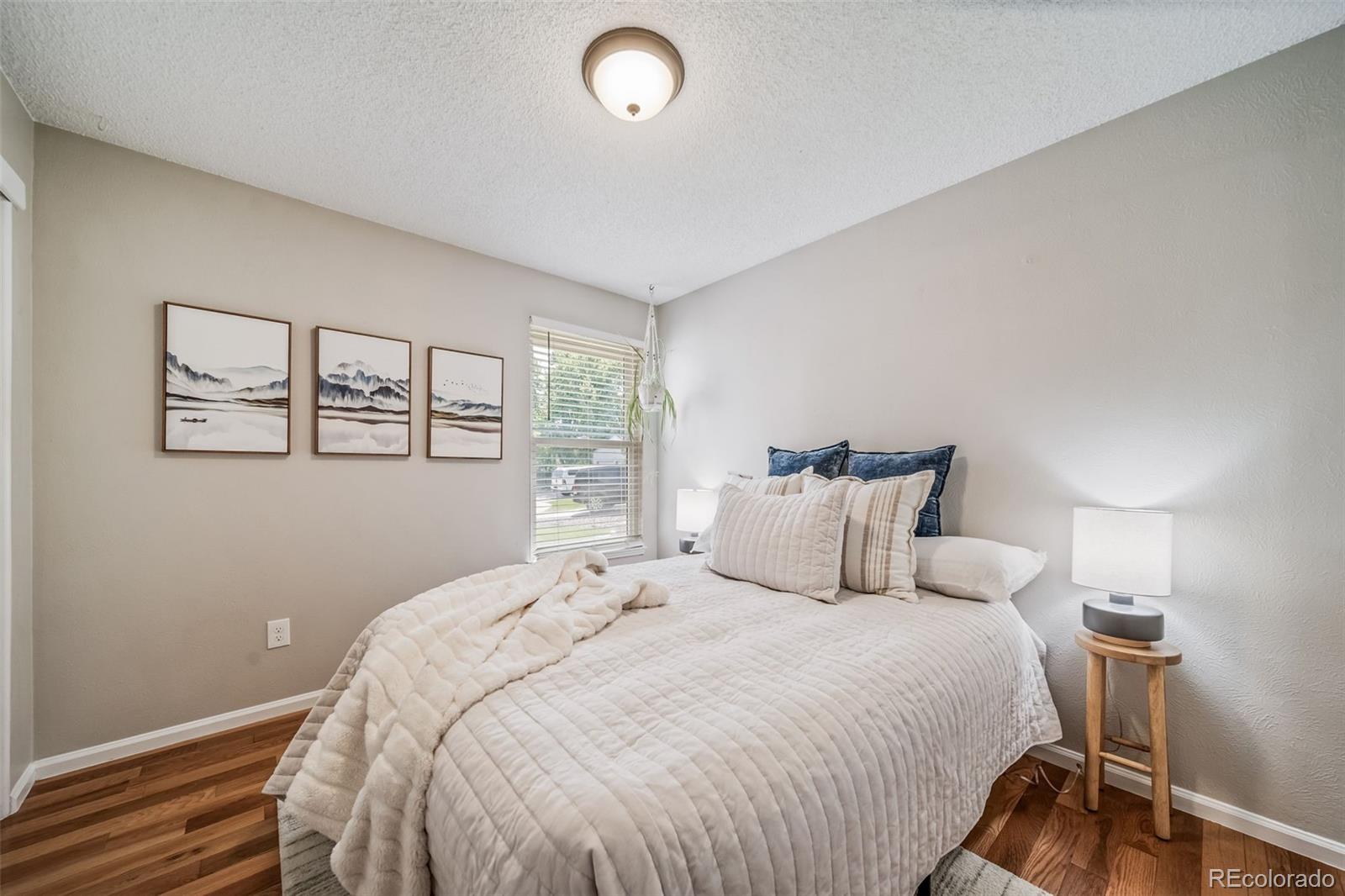 MLS Image #13 for 18159 e crestline circle,centennial, Colorado