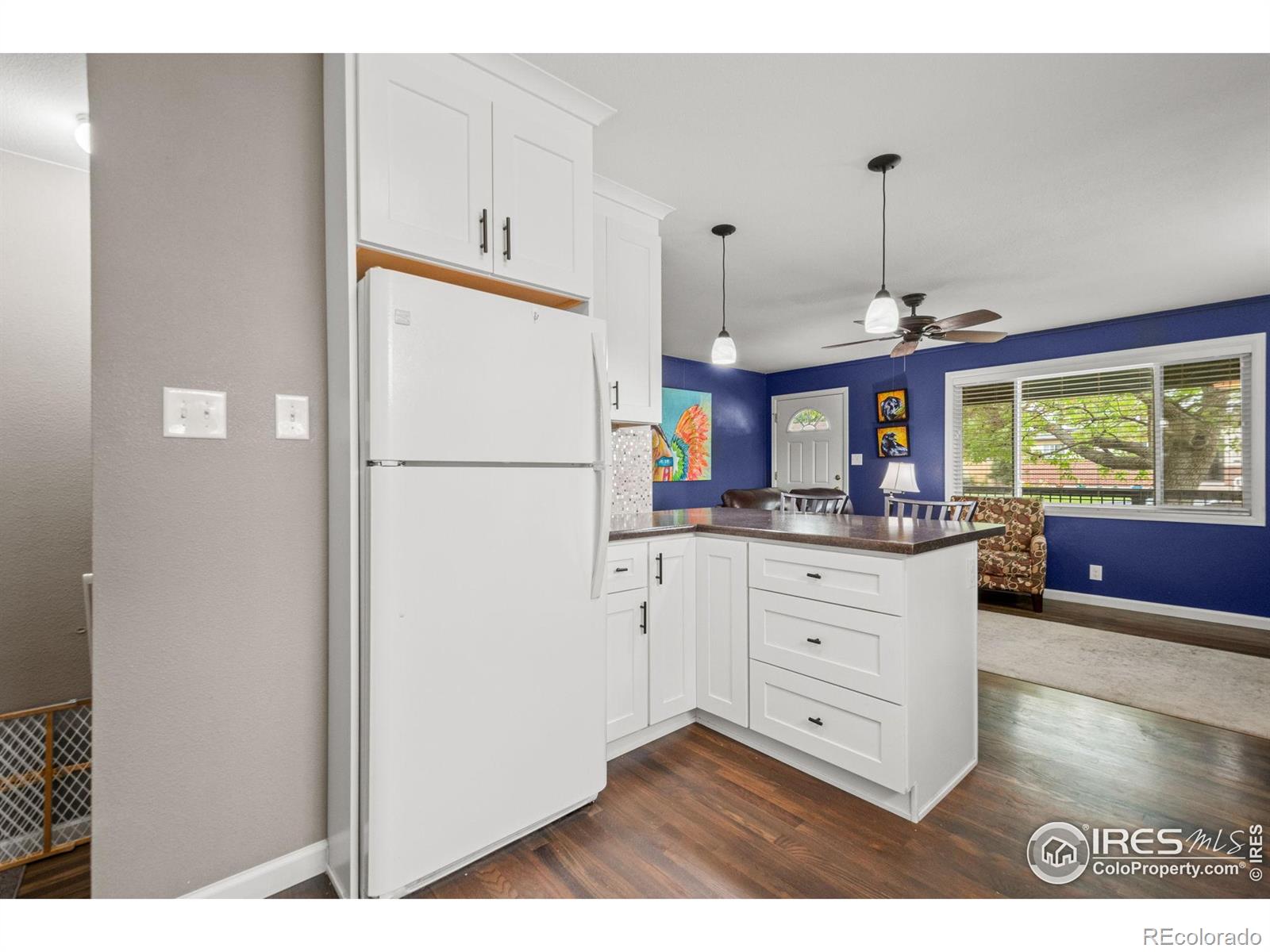 MLS Image #13 for 11385  downing drive,northglenn, Colorado