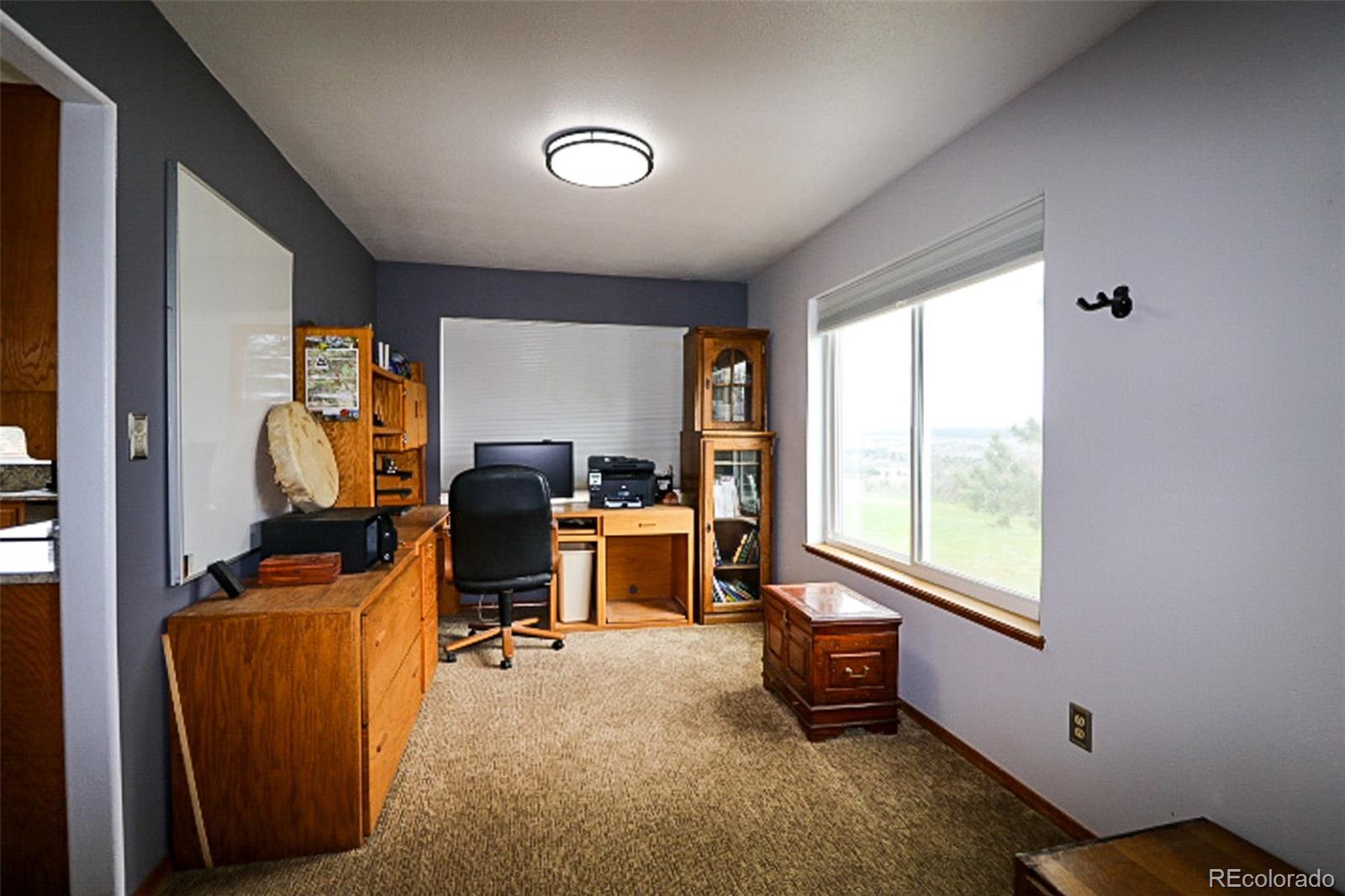 MLS Image #6 for 3530  doolittle road,monument, Colorado
