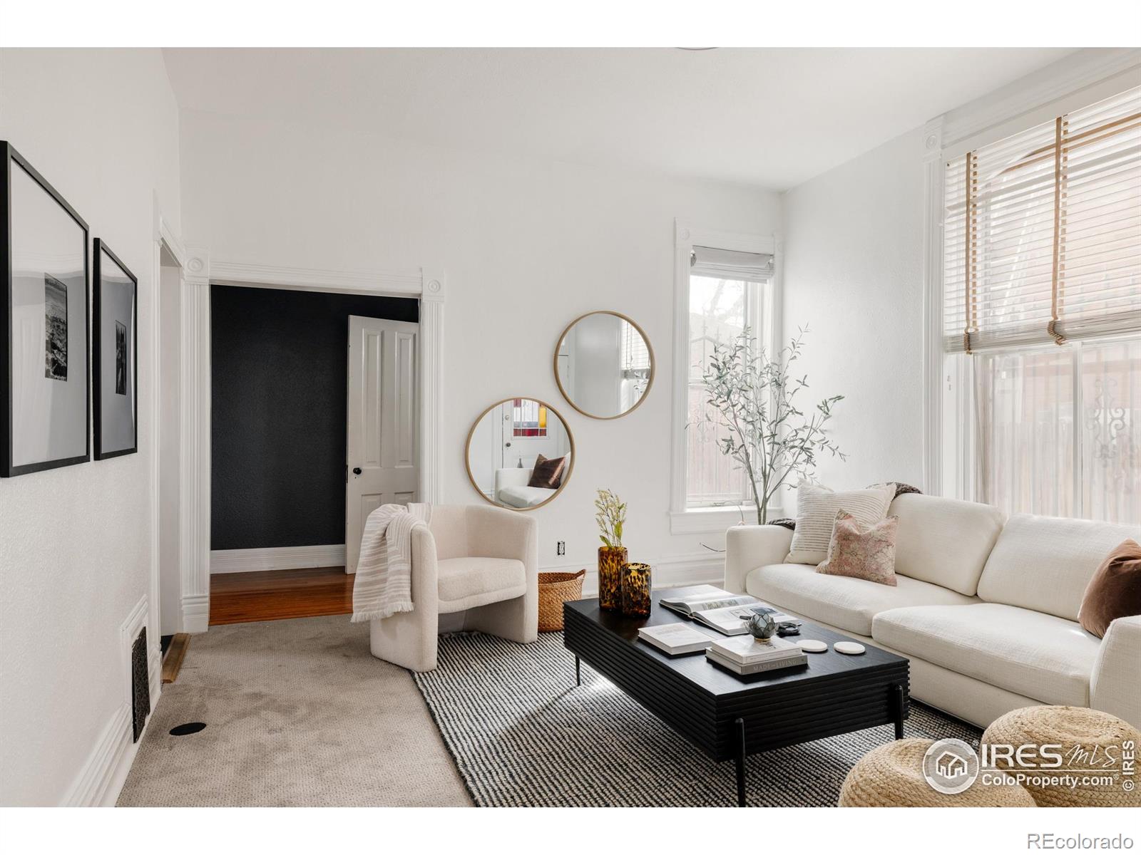 MLS Image #11 for 2808 n humboldt street,denver, Colorado