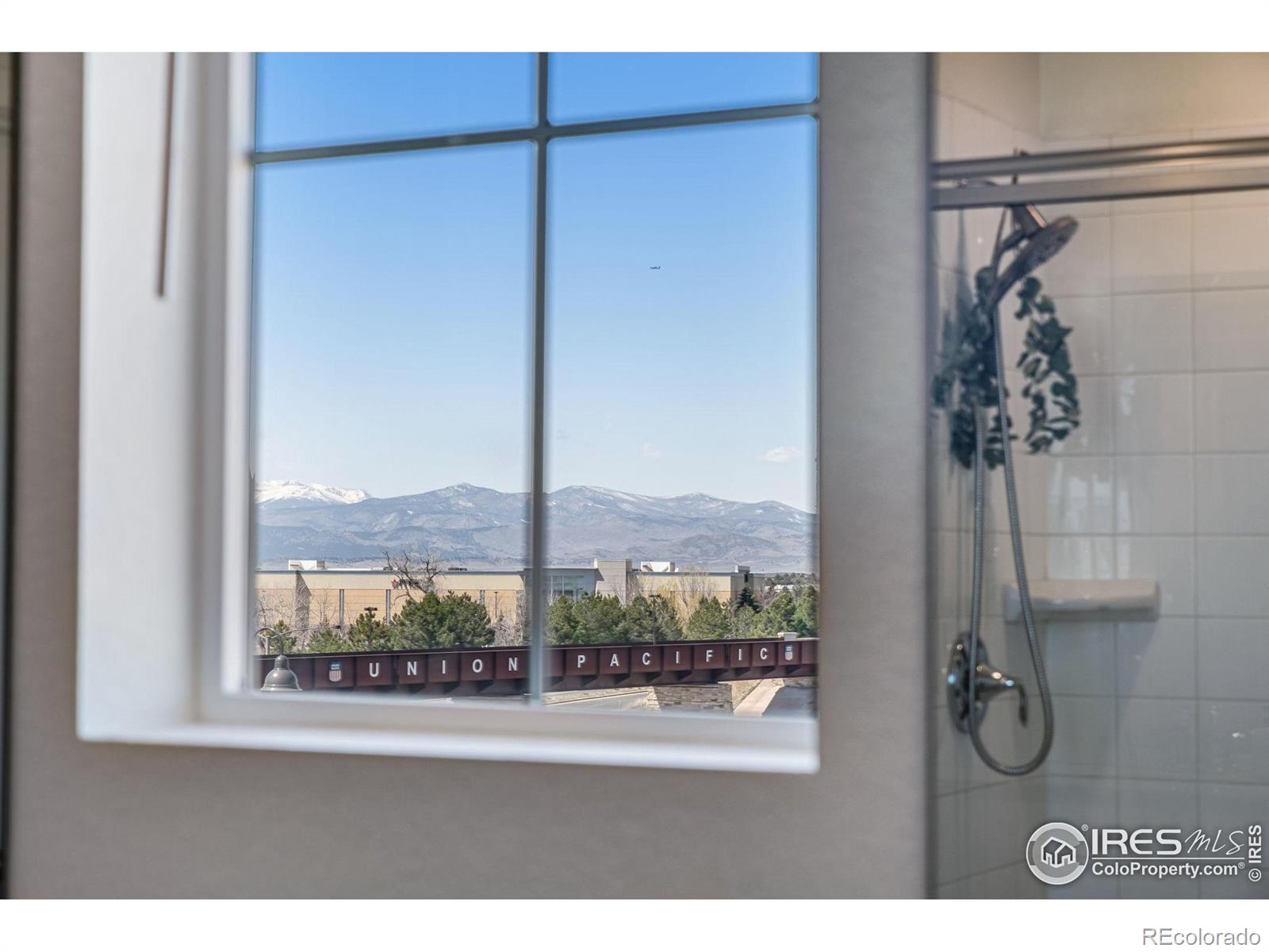 MLS Image #24 for 2403  cabin creek avenue,loveland, Colorado