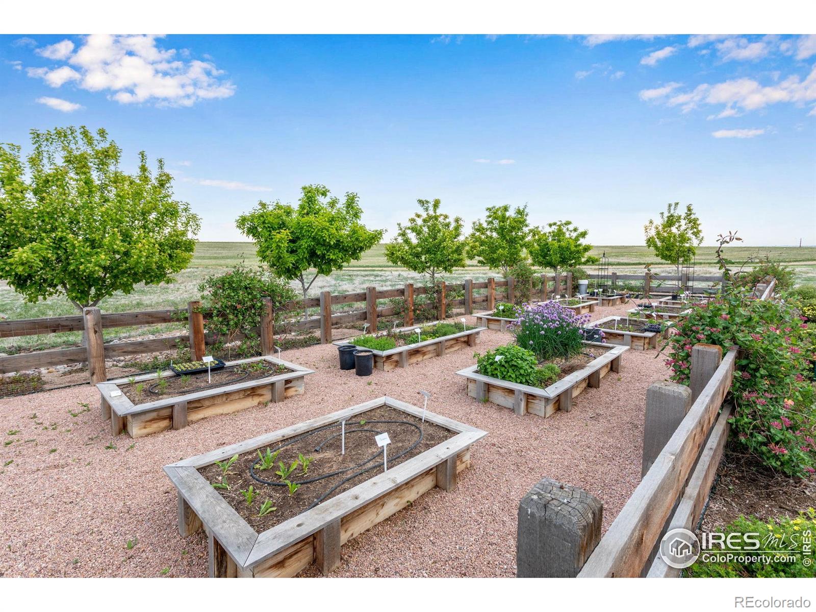 MLS Image #35 for 2403  cabin creek avenue,loveland, Colorado
