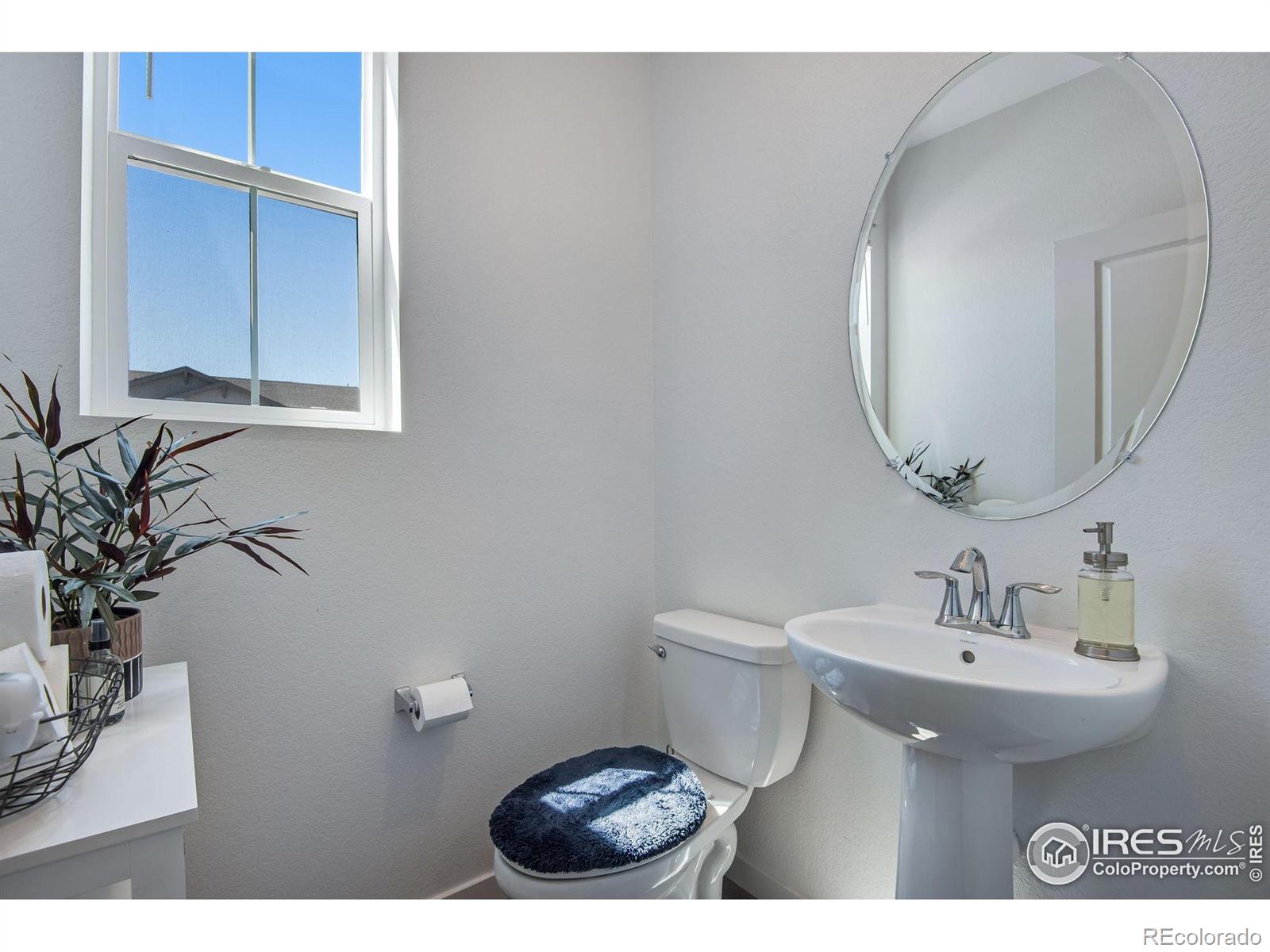 MLS Image #6 for 2403  cabin creek avenue,loveland, Colorado