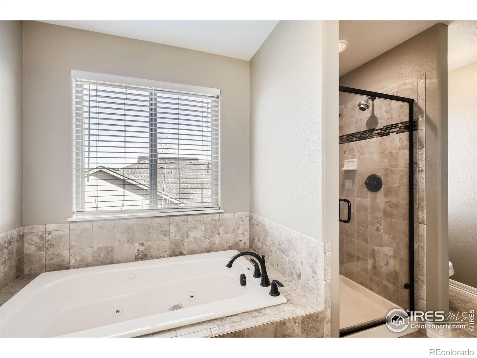 MLS Image #18 for 4605  tarragon drive,johnstown, Colorado