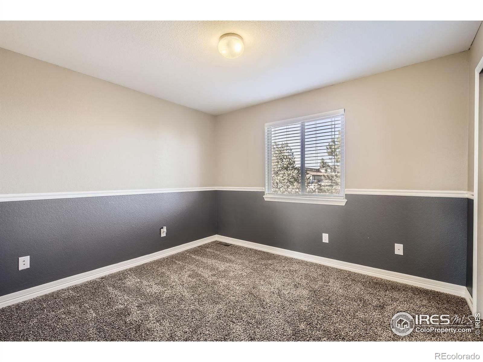 MLS Image #20 for 4605  tarragon drive,johnstown, Colorado