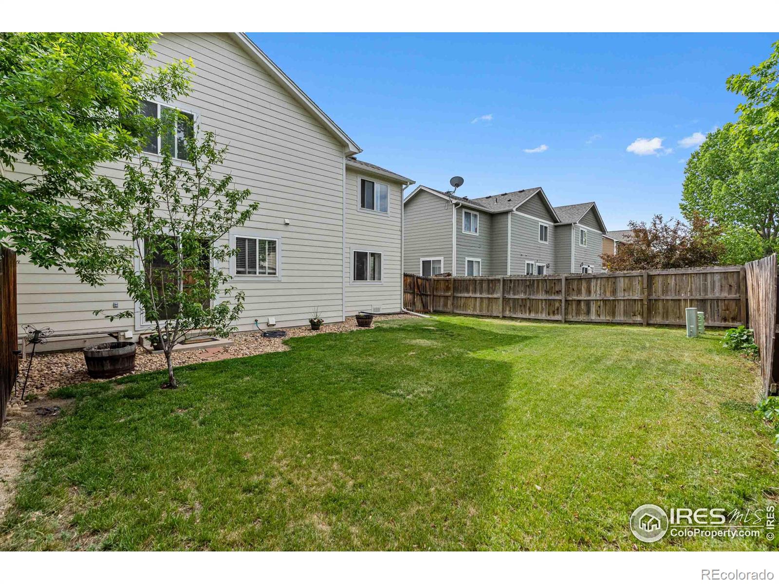 MLS Image #21 for 1157  lavender avenue,loveland, Colorado