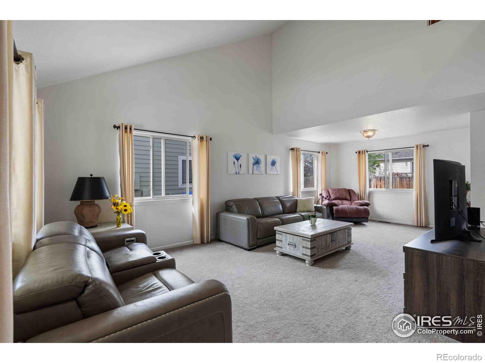 MLS Image #5 for 1157  lavender avenue,loveland, Colorado