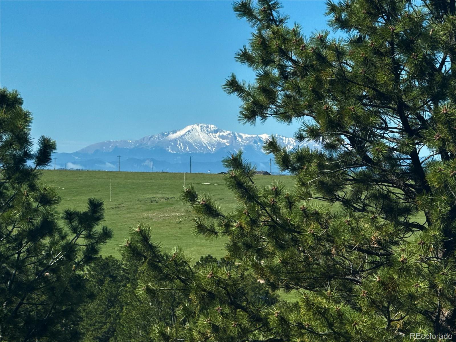 MLS Image #4 for 1972  gold camp way,franktown, Colorado
