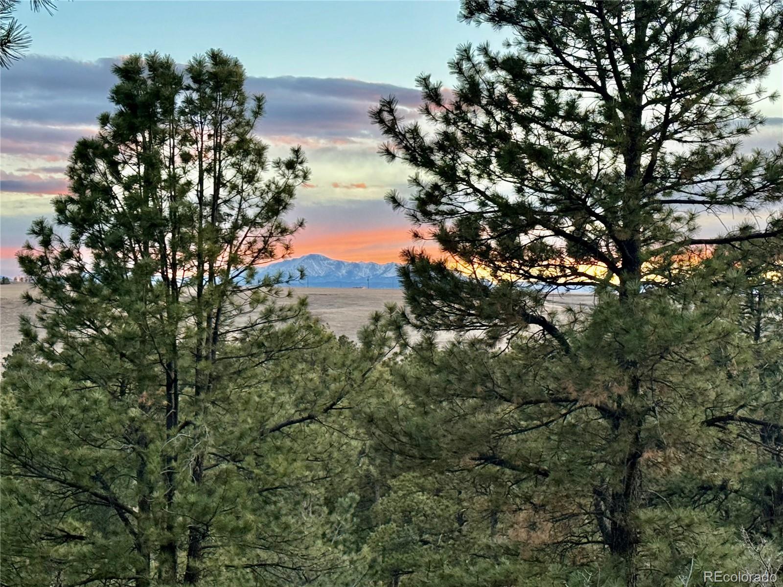MLS Image #5 for 1972  gold camp way,franktown, Colorado