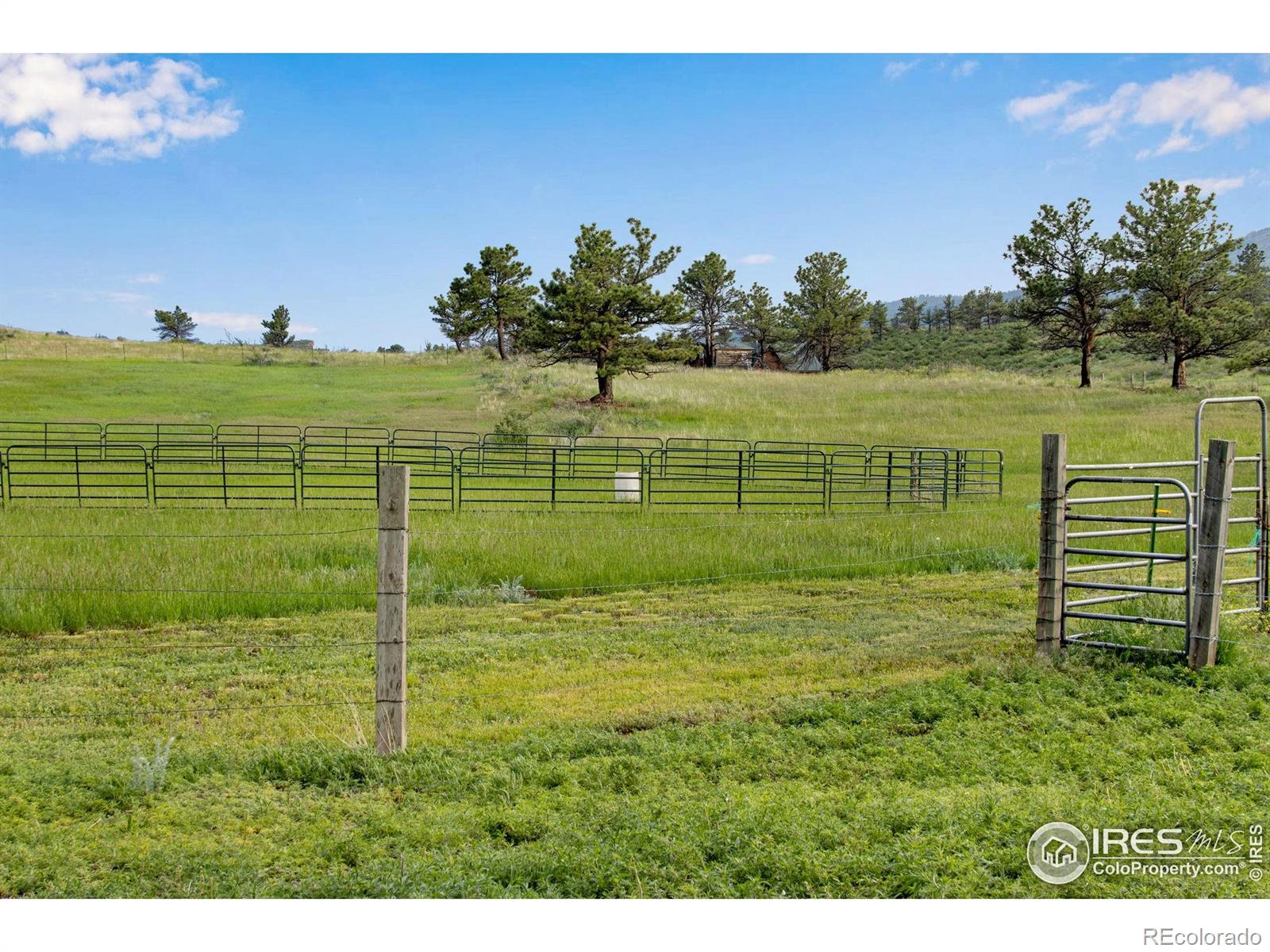 MLS Image #16 for 9709  buckhorn road,loveland, Colorado
