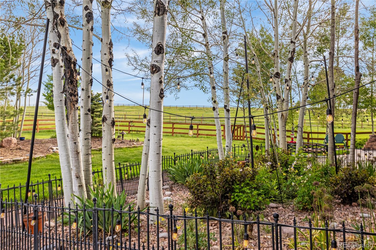MLS Image #38 for 17595  black forest road,colorado springs, Colorado