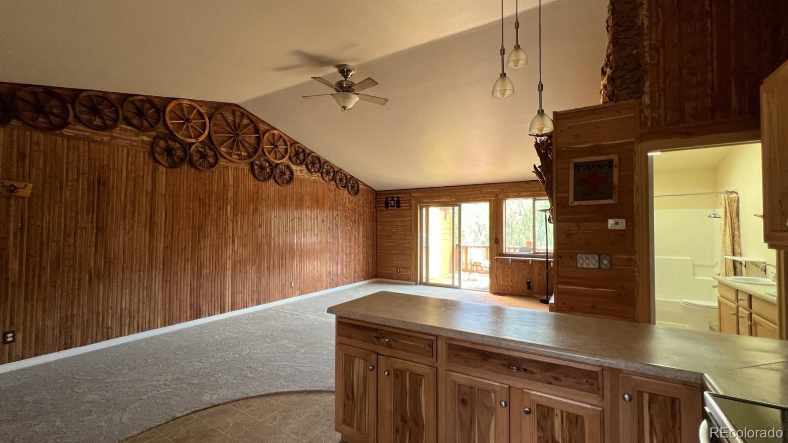 MLS Image #2 for 303  virginia road,bailey, Colorado