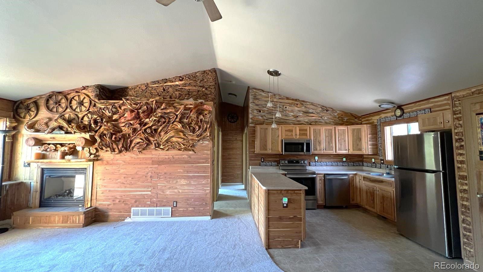 MLS Image #3 for 303  virginia road,bailey, Colorado