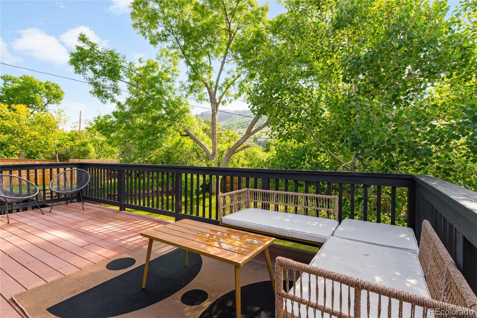 MLS Image #20 for 1029 n columbine street,golden, Colorado